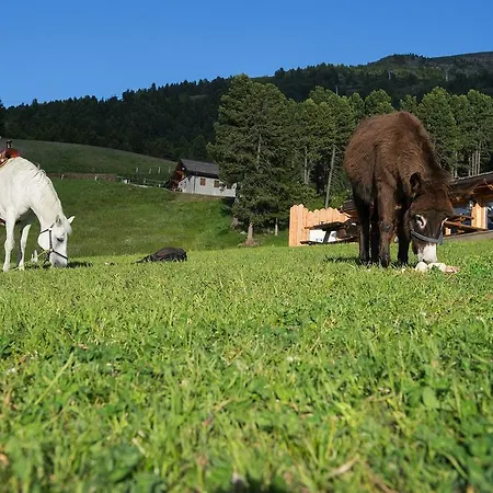 Hotel Gallo Cedrone Valdisotto